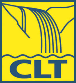 File:Logo C5F CLT.jpg