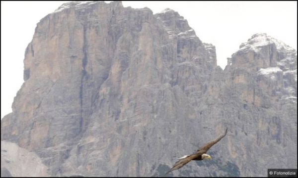 File:Olimpia volo Auronzo 2011.jpg