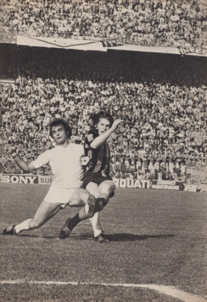 File:Wilson oriali.jpg