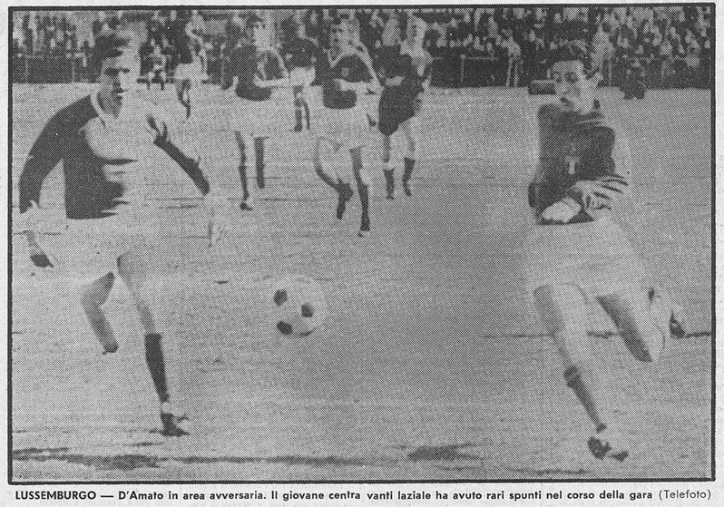 File:D'Amato Nazionale.jpg