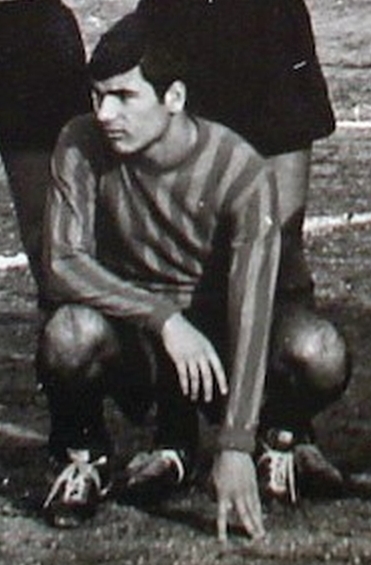 File:GiovagnoliMarioPalestrina.jpg