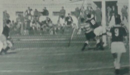 File:Pplw.jpg