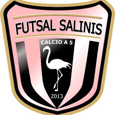 File:Logo C5F Futsal Salinis.jpg