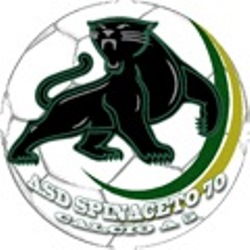 File:Logo C5 Spinaceto 70.jpg