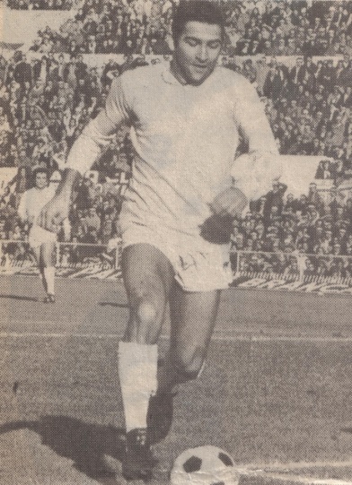 File:Garlaschelli 14.jpg