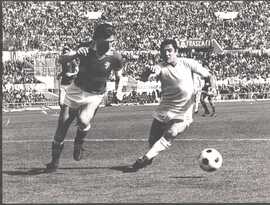 Garlaschelli e Frosio