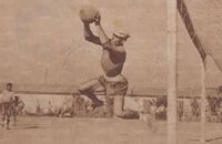 Una plastica parata di Brandolin