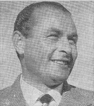 Allasi.jpg
