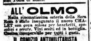 Olmo6.jpg