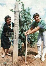 Un giovane Angelo Peruzzi aiuta la madre nei campi di Blera