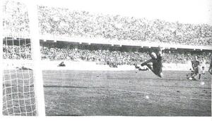 7feb71a.jpg