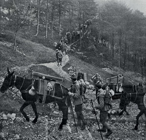 Artiglieria montagna 1915.jpg