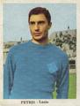 Una figurina di Petris