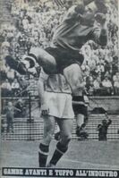 Una caratteristica respinta di "Cochi"