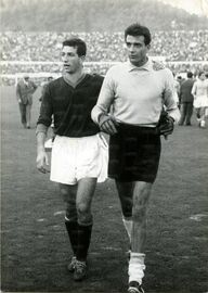 Lojodice e Lovati lasciano il terreno di gioco