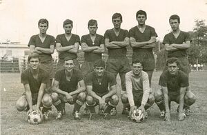 Primavare anni 60.jpg