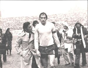 Bezzi&Chinaglia.jpg