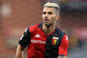 Behrami 8.jpg