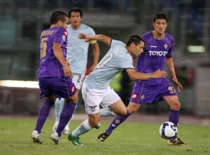 Viola08a.jpg