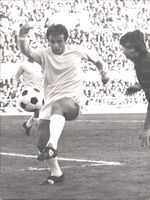 D'amico marcato da Salvadori