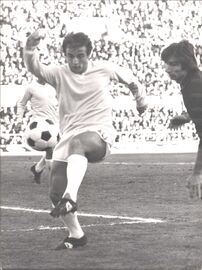 D'amico marcato da Salvadori