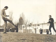 A Tor di Quinto allenato da Bob Lovati