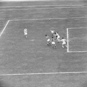 08feb59a.jpg