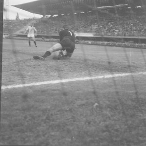 Spal6566e.jpg