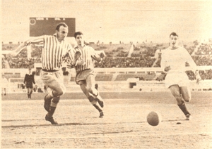 2feb64c.jpg