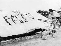 Incitamento al Campione durante una gara