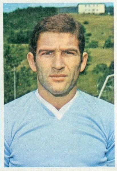 File:Garlaschelli figu1.jpg