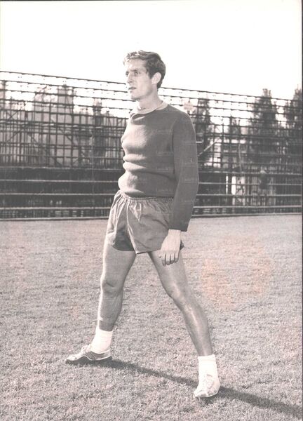 File:Nello Governato 2.jpg