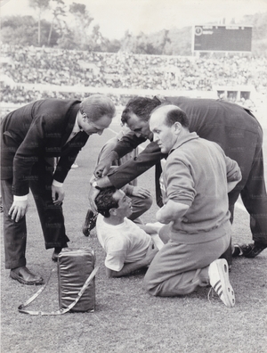 3ott65DAmato.jpg