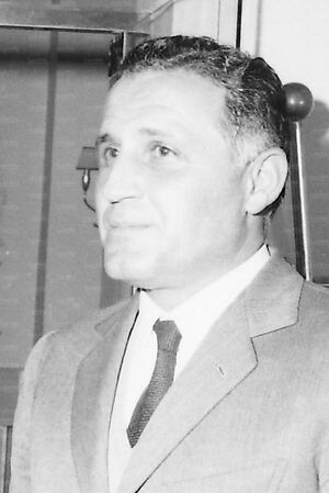 Mneri.jpg