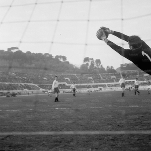 Napoli6566f.jpg
