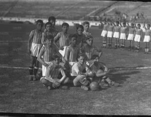 Pulcini1933D.jpg