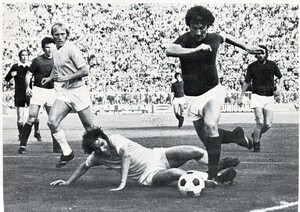 Bologna7374 (11).jpg