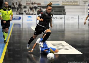 C5 2015-16 Pomposelli 4.jpg