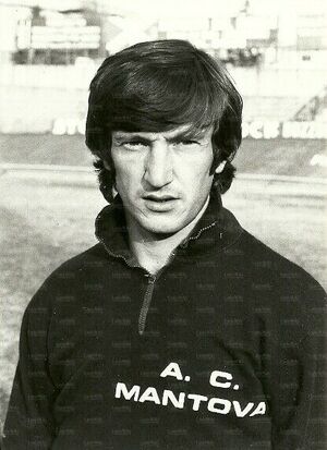 Manservisi Mantova.jpg