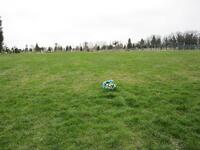 In questo prato all'interno del cimitero sono disperse le spoglie di Luigi Bigiarelli