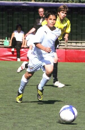 Lerose.jpg