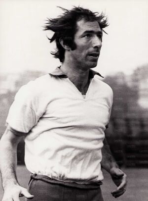 Polentes197071.jpg