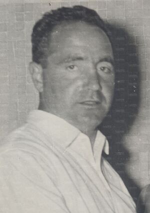 RadioEnrico3.jpg