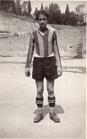 MoscaGiovanile1.jpg
