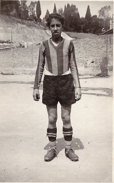 File:MoscaGiovanile1.jpg