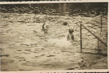 Ivo Bitetti pallanuotista