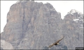 Miniatura della versione delle 23:07, 21 lug 2011
