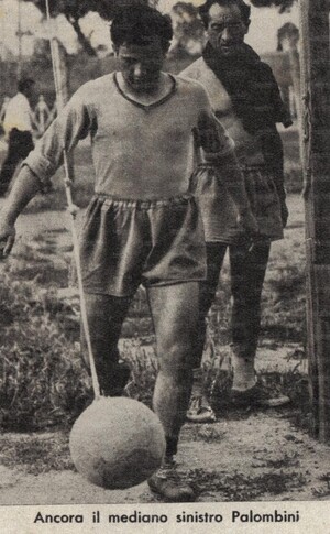 Renato Palombini.jpg