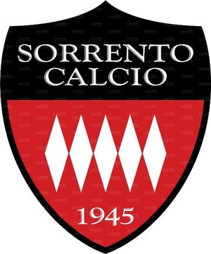 Logo Sorrento.jpg