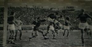 Fiorelazio37.jpg
